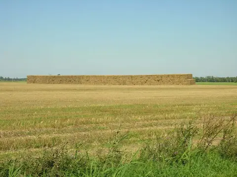 Lisovanie slamy do úmoru (12/17)