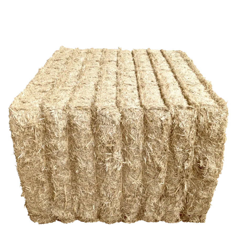 Fine straw Premium as a square bale