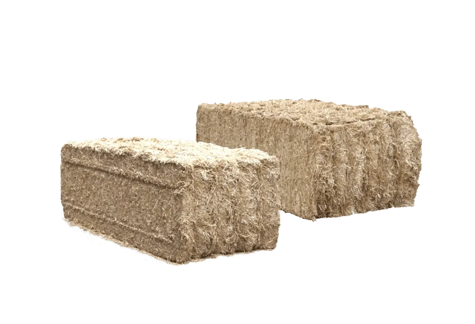 Due balle quadre di paglia tritata
